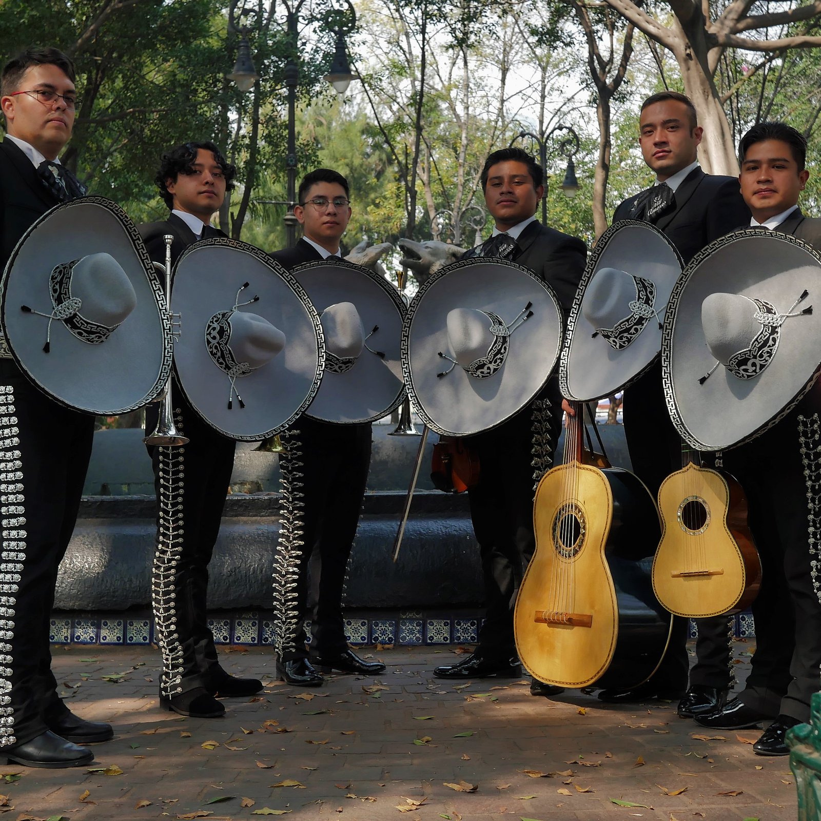 mariachis cdmx
mariachi barato en cdmx